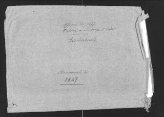 2 vues  - Chemises en papier entourant les documents suivants du portefeuille; inscription de la main de Dufour : « Affaires de 1847. Frybourg et Lucerne et Valais. Sonderbund, Armement de 1847 » (ouvre la visionneuse)