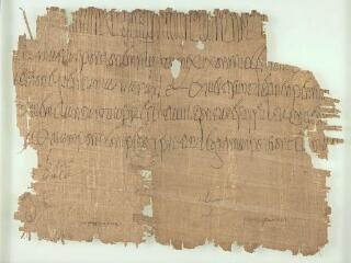 2 vues Le papyrus Butini (acte diplomatique)