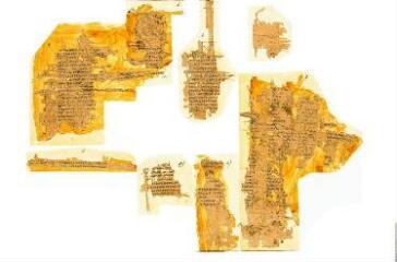 1 vue le papyrus de Genève inv. 161