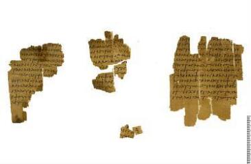1 vue  - un papyrus de Plutarque (ouvre la visionneuse)