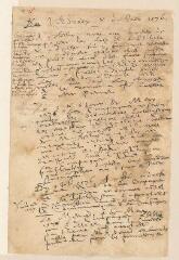 4 vues  - Extraits des registres de la Compagnie des pasteurs de Genève de 1576 et de 1609 relatifs à la révision des Ordonnances ecclésiastiques (ouvre la visionneuse)