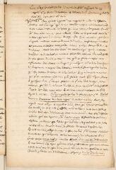 2 vues  - Discours au Conseil des XXV le mardi 30 octobre 1649 pour l\'élection des lieutenant et auditeurs (ouvre la visionneuse)