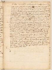 1 vue  - Discours en Conseil Général le dimanche 4 novembre 1655 pour l\'élection de Jacob Du Pan comme lieutenant (ouvre la visionneuse)