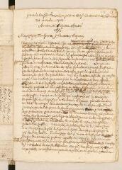 8 vues  - Discours pour le Conseil Général le 20 novembre 1701 au sujet de l\'élection du lieutenant et des auditeurs (ouvre la visionneuse)
