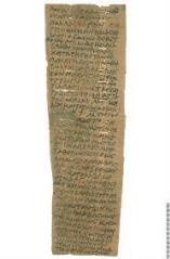 1 vue lettre d’affaires de Lucretius à Ammonianos