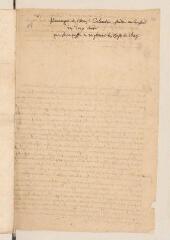 32 vues  - 2 copies, de 2 mains différentes et non identifiées, de la \'Harangue de Monsr Calandrin faite en Conseil des Deux Cent pour faire passer en reiglement les thèses de 1649\'.- 1669 (ouvre la visionneuse)
